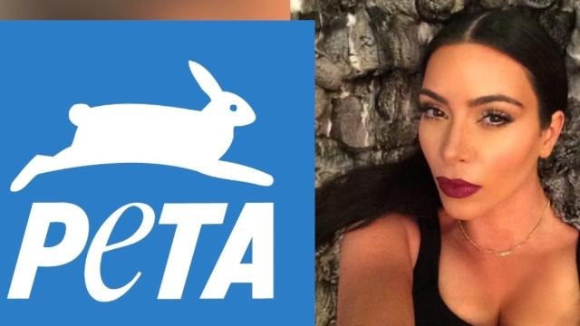 Kim Kardashian Rides Dolphins in Mexico, Angers PETA