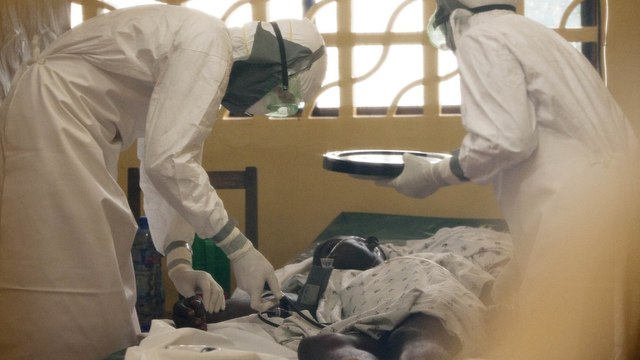 How the Ebola virus works