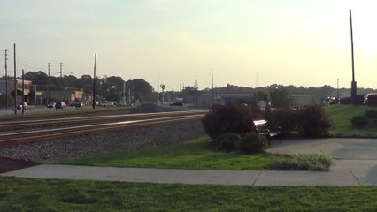 NS G89 Intermodal Train SB through Austell Ga. with Funny Conductor.