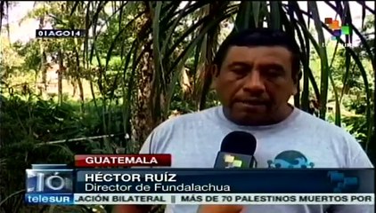 Monocultivos amenazan reserva natural en Alta Verapaz, Guatemala