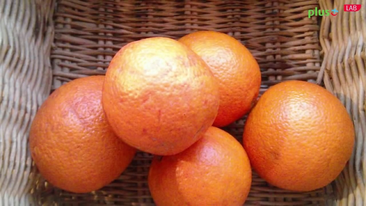 Test Windows Phone 8S by HTC