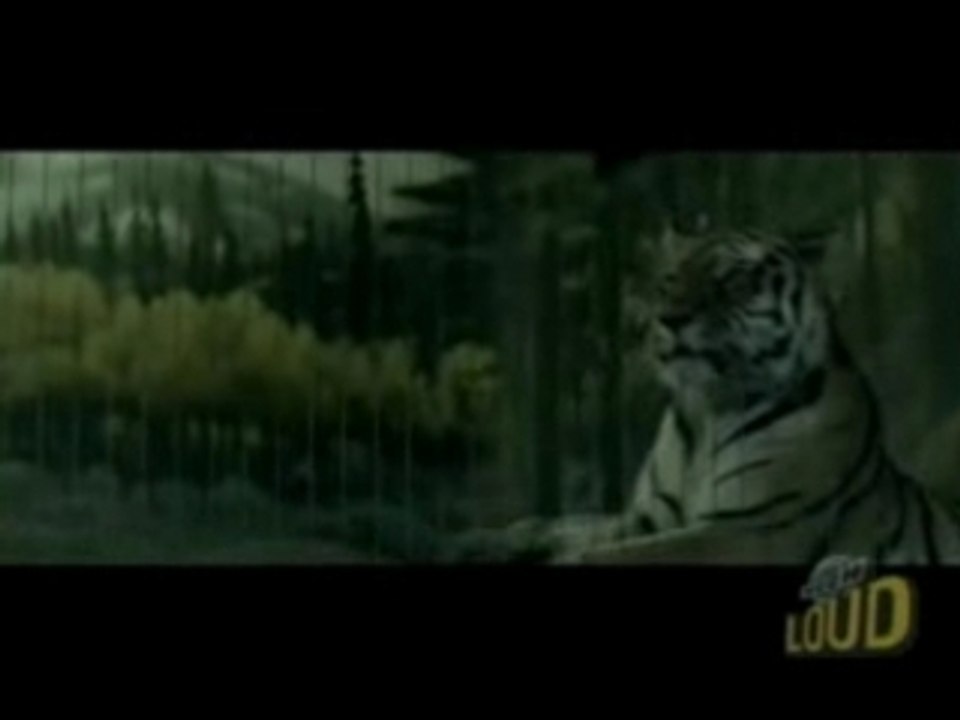 Rise Against - Give It All (video)