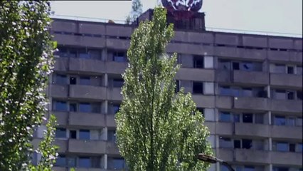 Tchernobyl, une histoire naturelle ?