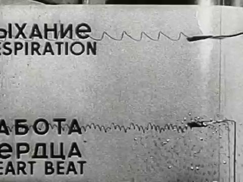 Experiments in the Revival of Organisms (1940)