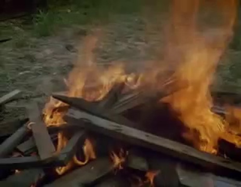 Birdy (1984) - Trailer