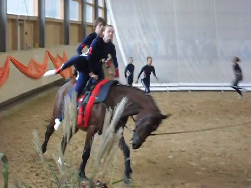 Voltiturnier Weicht 15.10.11