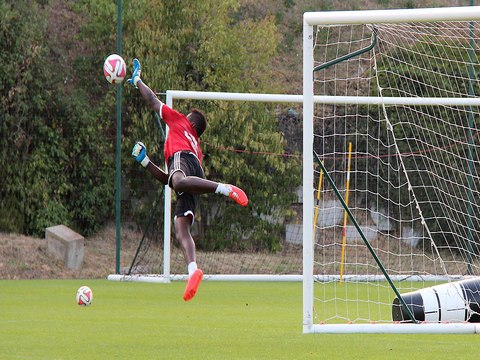Les envolées de Brice Samba