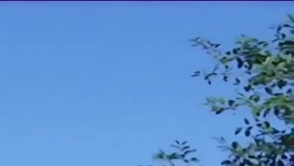 Watch Ukrainian Military Plane An-30 Shot Down  Falling by SA-7 Missile - incredible video