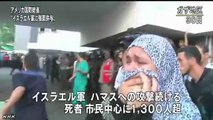 20140731米 イスラエルに弾薬供与は国益