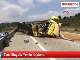 Tem Otoyolu Yemle Kaplandı