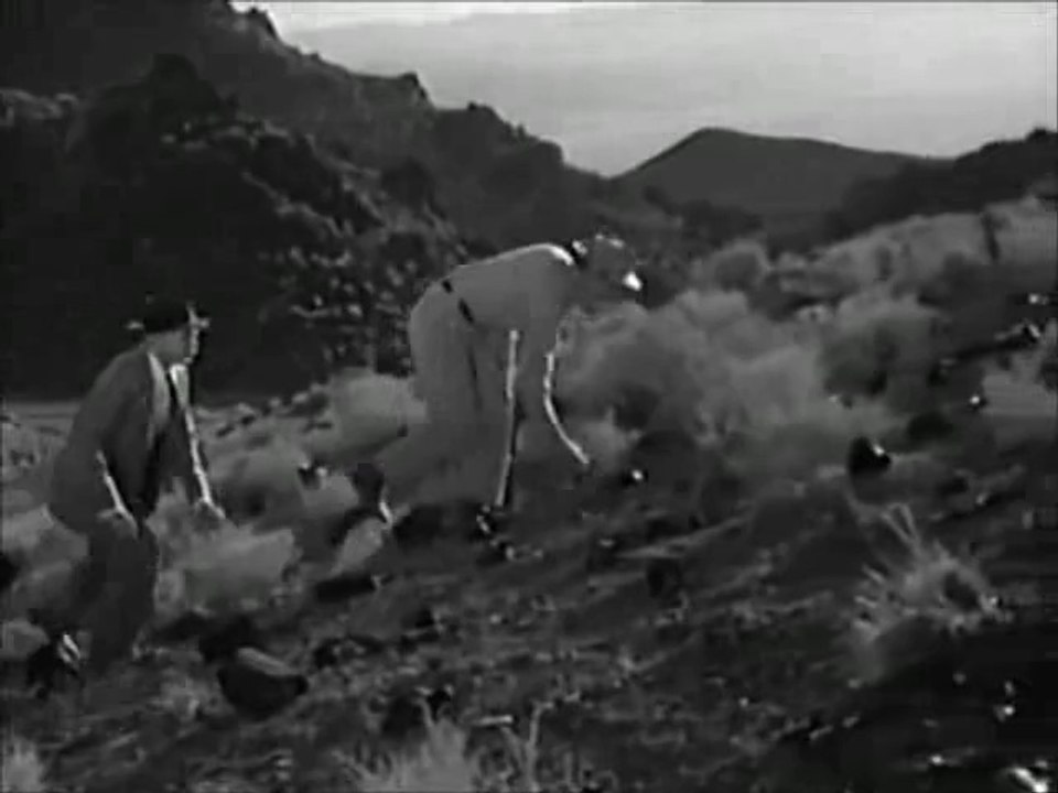 Monolith Monsters - video Dailymotion