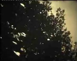 El Perro Negro - Stories from the Spanish Civil War • 2005