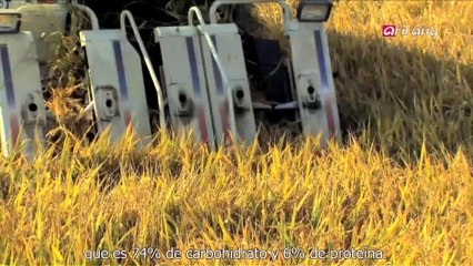 Tales of Hansik (Spanish) Ep01