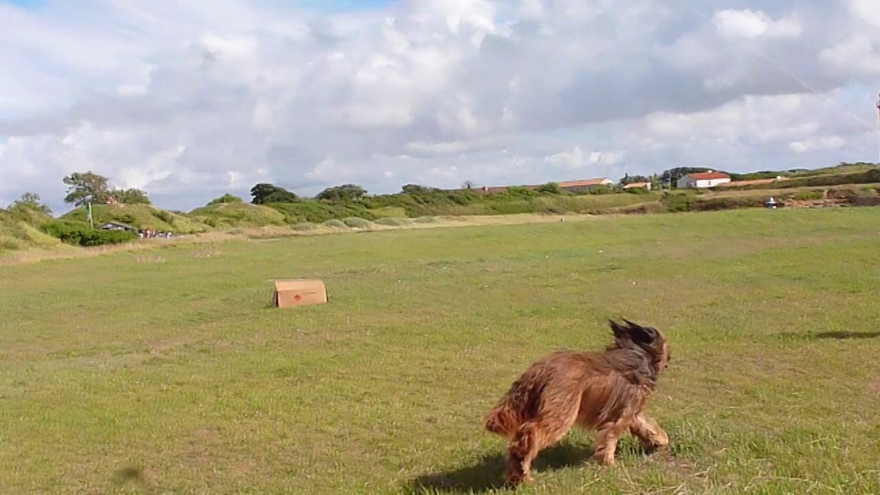 Csali joue dans l'Ile d'Aix