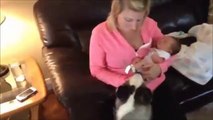 İlk defa bebek  gören köpek