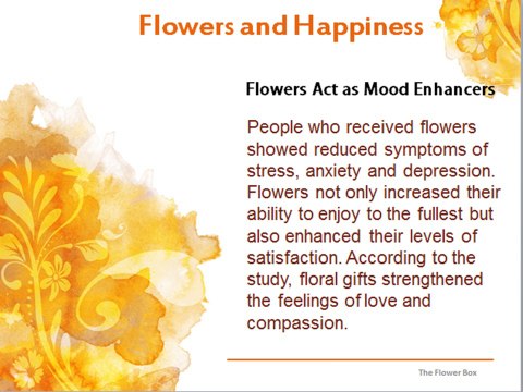 Giving Flowers Can Make People Happy - PPT Presentation