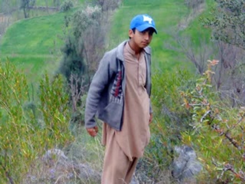 abid .zara
