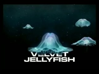 Trailer MARINA, LA ESPOSA DEL PESCADOR (Película de Cortometraje)