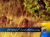 Geo Headlines-02 Aug 2014-2100