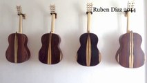 Different Types of Brazilian Rosewood on Innovative Flamenco Guitars / Ruben Diaz A & Q   Tips