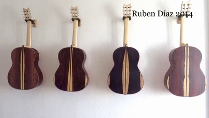 Different Types of Brazilian Rosewood on Innovative Flamenco Guitars / Ruben Diaz A & Q + Tips