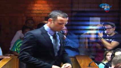 Pistorius' brother 'critical' after car crash