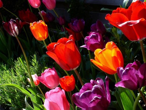 -Мой фильм-школа Успех PRO100