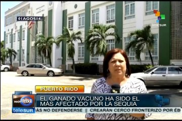 Evalúan puertorriqueños el racionamiento del agua embotellada