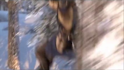 We are Coming O "Children of Israel"!