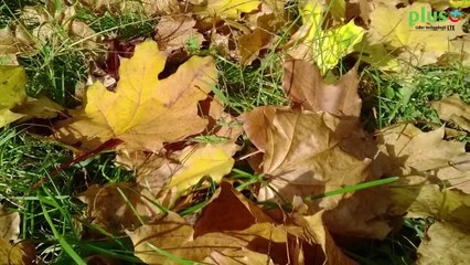 Test Nokia Lumia 625