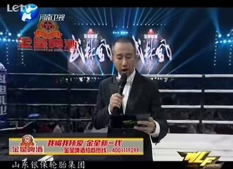 武林风 WLF环球拳王争霸赛定远站 20140802