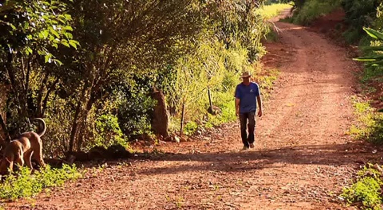 Trailer Documentário Celibato no Campo