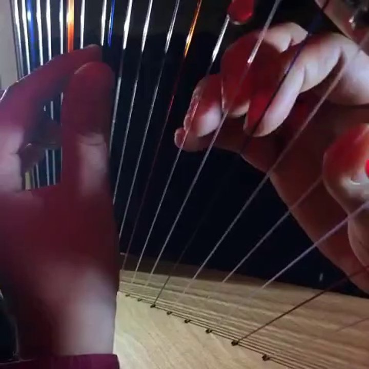 A late night Harp loop