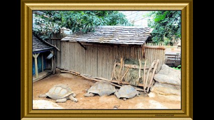 HD.LA FERME AUX CROCODILES N°2 MARTINE ANCIAUX CREATRICE DE LA PHOTO-PEINTURE, ART PHOTOGRAPHER