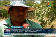 Indios wayú abandonan La Guajira y se instalan en cascos urbanos