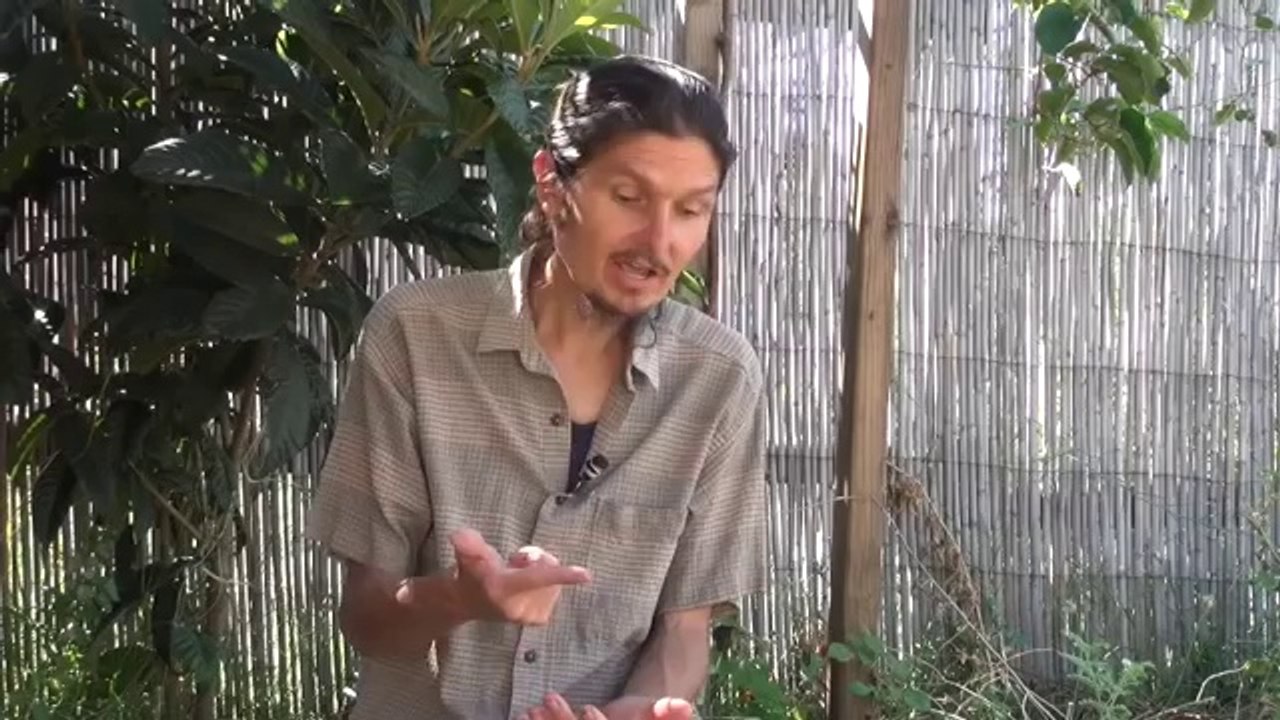 bienêtreaujus protéines 24min Démystifions les protéines-_-vivrecru.org