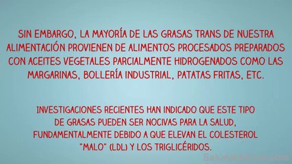 Que Son Las Grasas Trans - No Dejes De Ver Esto