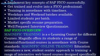 Sap Fico Online Training Classes & Certification In Bangalore, Chennai