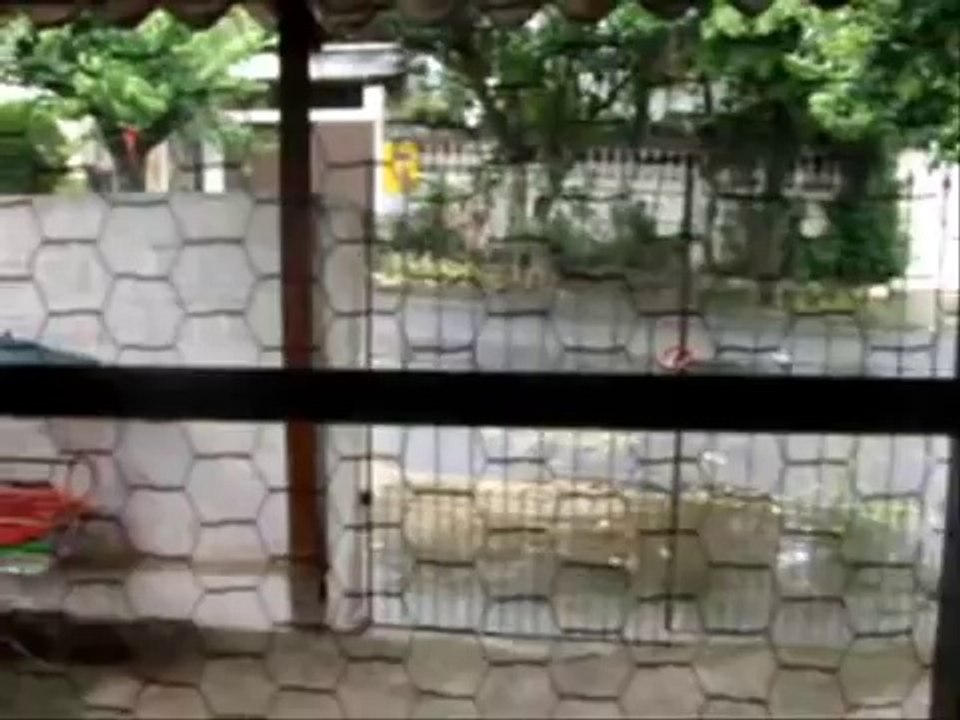 Através dos Séculos