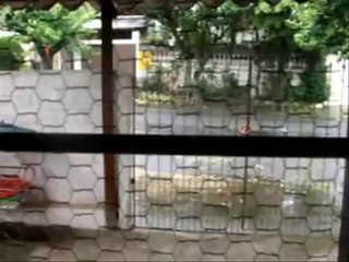 Através dos Séculos