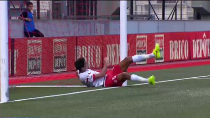 AS Nancy-Lorraine - Dijon FCO (1-1)  - Résumé - (ASNL-DFCO) / 2014-15