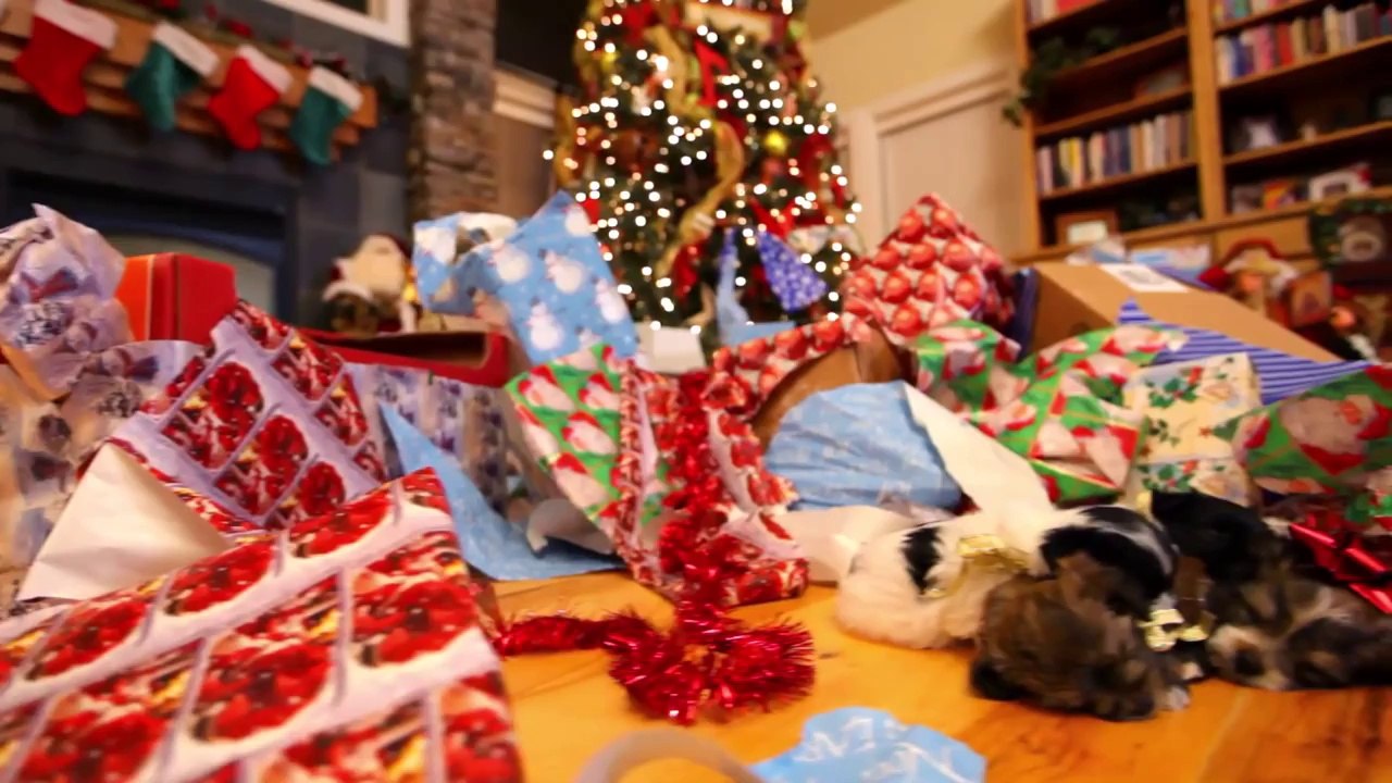 Puppy Christmas