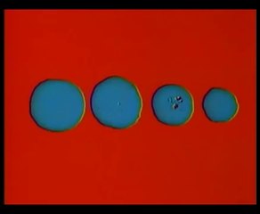 Norman McLaren - Dots (1940)