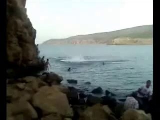 Algerie _ un plongeur fou mdrr