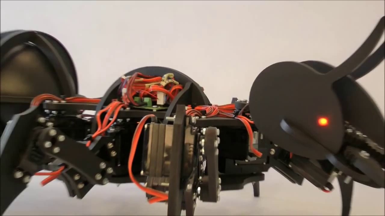 Robot ant