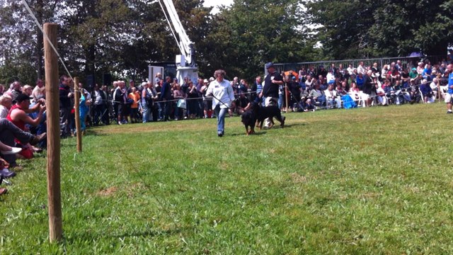 Fête de la chasse et de la pêche à Carrouges