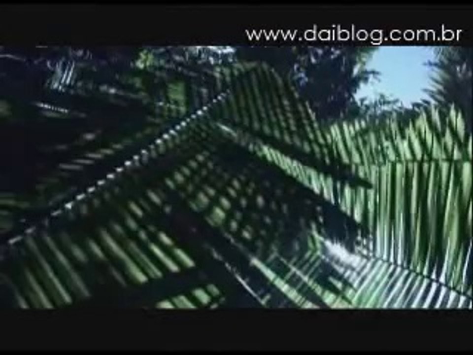 tv daiblog - quebradeiras - festival de brasília 2009