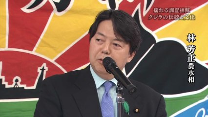ＮＮＮドキュメント’１４　クジラ漁に待った！反捕鯨国との闘い調査捕鯨の危機と疑惑 140803
