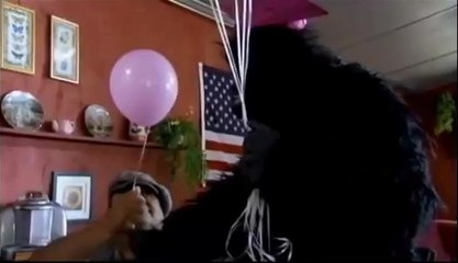 Adventures of Johnny Tao Trailer (2007) Matthew Twining