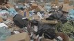 Napoli - Torna incubo rifiuti, 1500 tonnellate attendono smaltimento (02.08.14)